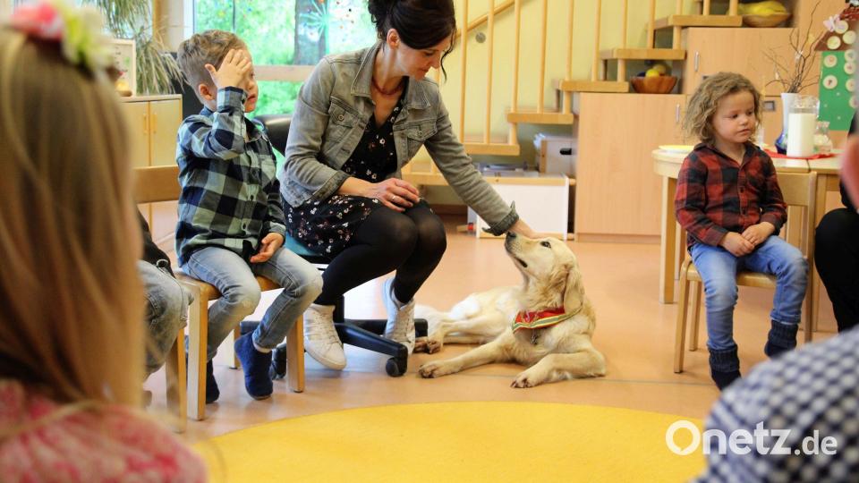 Therapie-Begleit-Hündin Amy nimmt auch am morgendlichen Sitzkreis teil. Bild: Mariella Kramer/exb