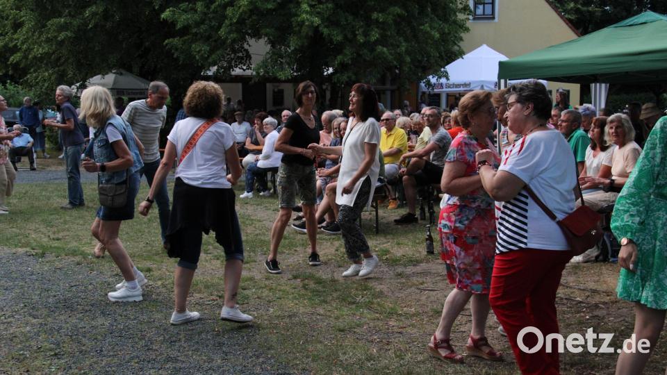 Einen großen Besucherandrang erlebte die Sommerserenade in der Freizeitanlage beim Auftritt der &quot;Church Pistols&quot;. Bild: prh
