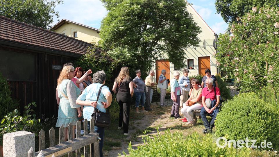 Der Reslgarten lud zur Fotoausstellung und zur Erholung ein. Bild: rpp