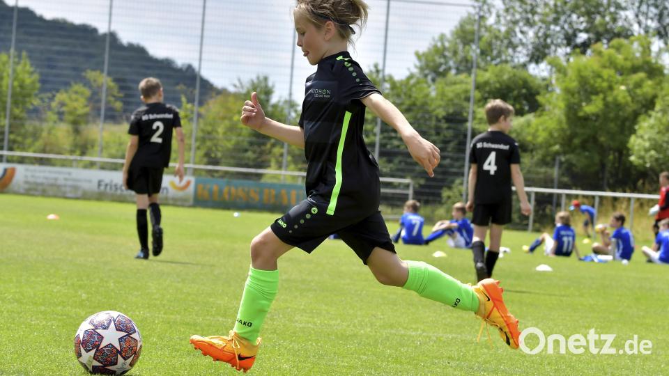 Die E-Jugendlichen des SV Raigering waren wieder erfolgreich Bild: Hubert Ziegler