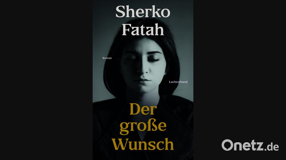 Buchcover: Der große Wunsch Bild: Luchterhand Literaturverlag/exb