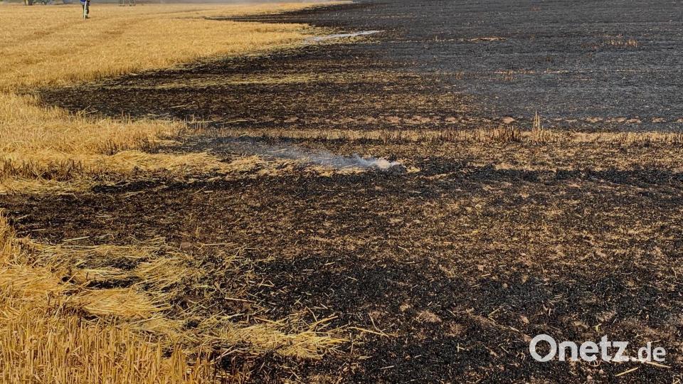 Feuerwehrkräfte löschen ein brennendes Feld in Neunkirchen bei Weiden. Bild: Gabi Schönberger