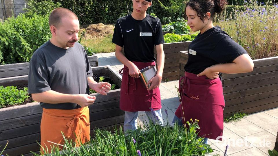 Grünes Paradies: Im Kräutergarten des Museumscafe werden die Utensilien für das Pesto ausgesucht Bild: Irene Fritz