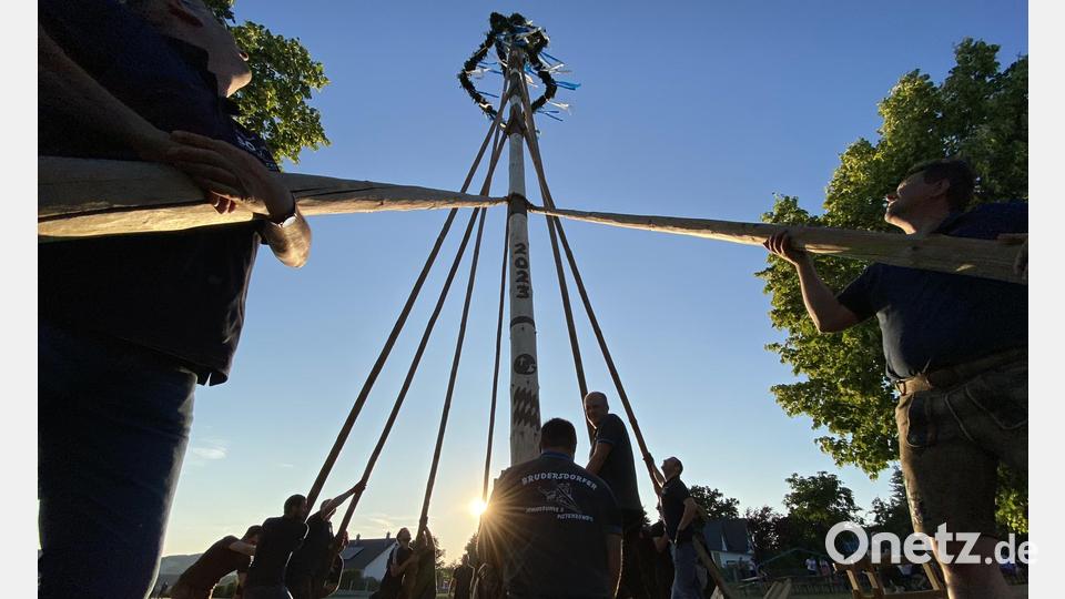 Wie hier in Brudersdorf kann das Aufstellen des Kirwabaums nur dann gelingen, wenn alle &quot;bei der Stange bleiben&quot;. Bild: aub