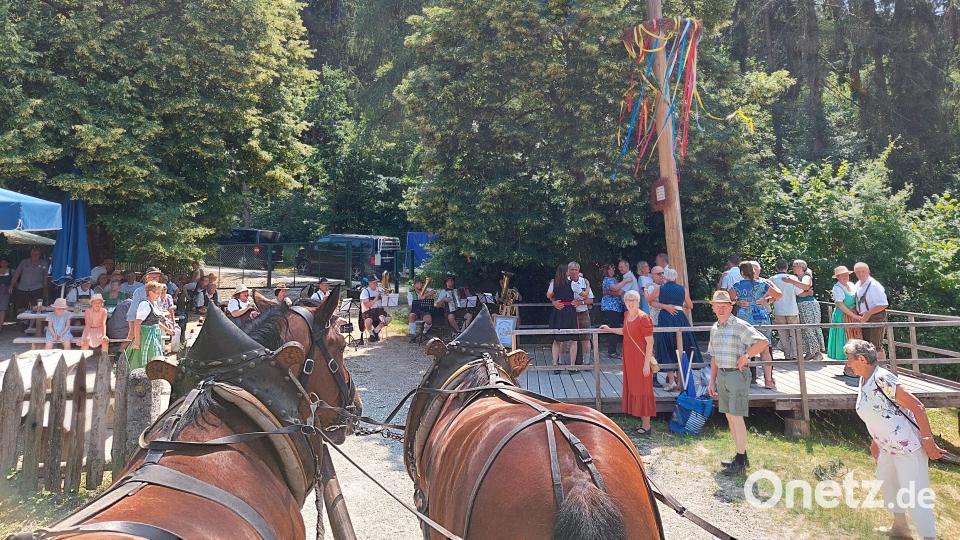Unter dem Maibaum wird aufgespielt und getanzt. Die Mitwirkenden warten schon sehnsüchtig auf Leo und Fonse, die im Gespann kühle Getränke mitbringen. Bild: jua