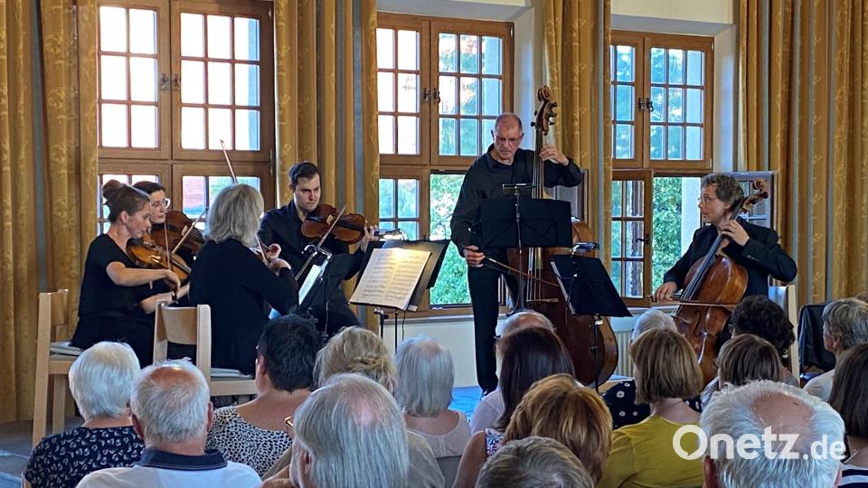 Das Interesse am 34. Rathauskonzert in Vohenstrauß mit dem Arte Ensemble ist am Samstagabend riesengroß. Albert Sommer (am Kontrabass) muss wegen der vorgeschriebenen Sitzplatzbeschränkung im Großen Rathaussaal sogar etlichen Zuhörer den Einlass verwehren. Bild: ck