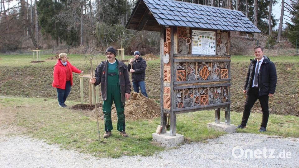 2021 nahm der Obst- und Gartenbauverein Ebnath an der Baumpflanzaktion beim Insektenhotel am Fahrradweg teil. Bürgermeister Wolfgang Söllner (v.re.) bedankte sich bei den Verantwortlichen. Mit dabei waren Armin Greger, Theo Schiener und Vorsitzende Inge Geißler. Archivbild: soj