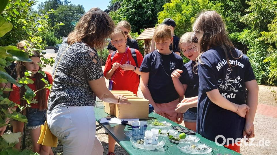 Im Naturerlebnisgarten gab es für die Ministranten viel zu entdecken. Bild: Gertrud Hankl/exb