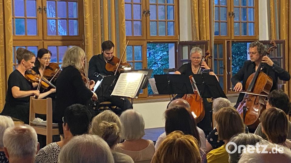 Das Arte Ensemble (hier mit Ute Sommer am Violoncello, Zweite von rechts) begeistert beim 34. Rathauskonzert in Vohenstrauß. Bild: ck