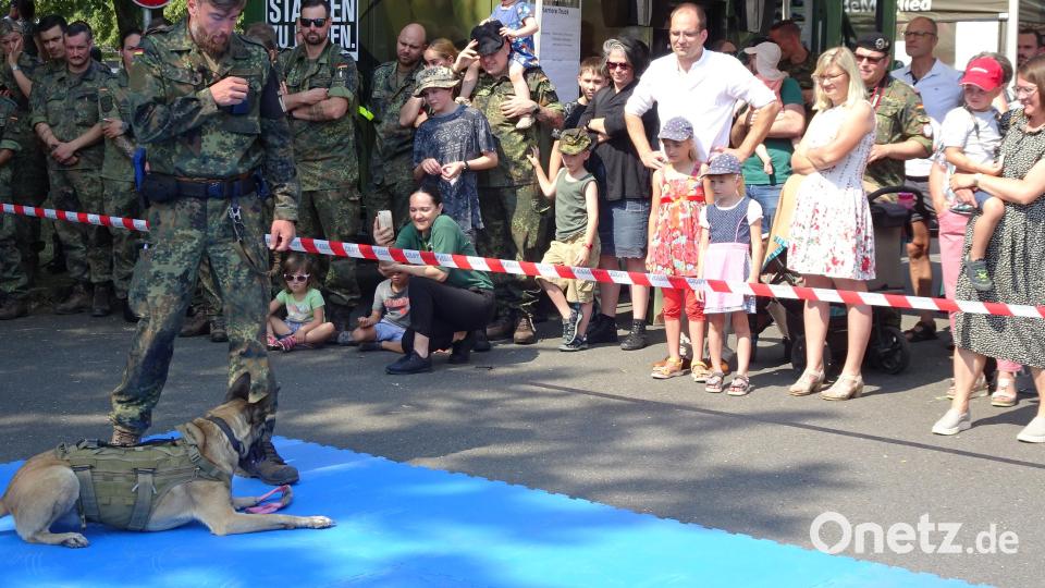 Eine Feldjäger-Hundeshow gibt es auch auf dem Bürgerfest. Bild: hm