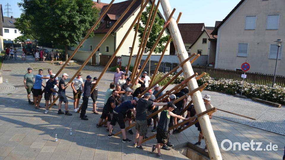 Rund 40 Männer wuchteten mit Muskelkraft den Baum in eineinhalb Stunden in die Höhe. Bild: kki