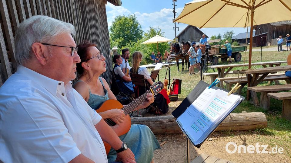 Die Musiker suchen sich schattige Plätze für ihre Darbietungen aus. Bild: jua