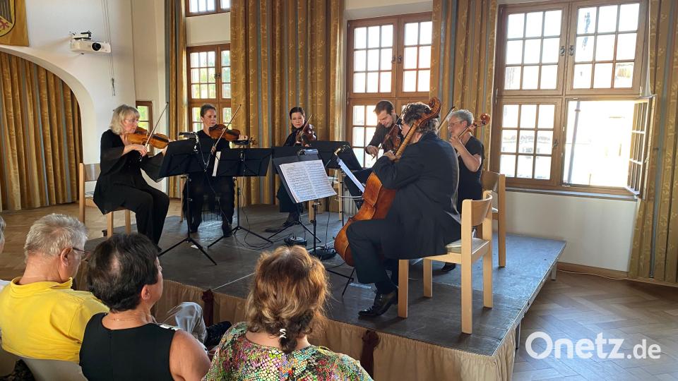 Das Arte Ensemble begeistert das Publikum beim 34. Rathauskonzert in Vohenstrauß. Bild: ck