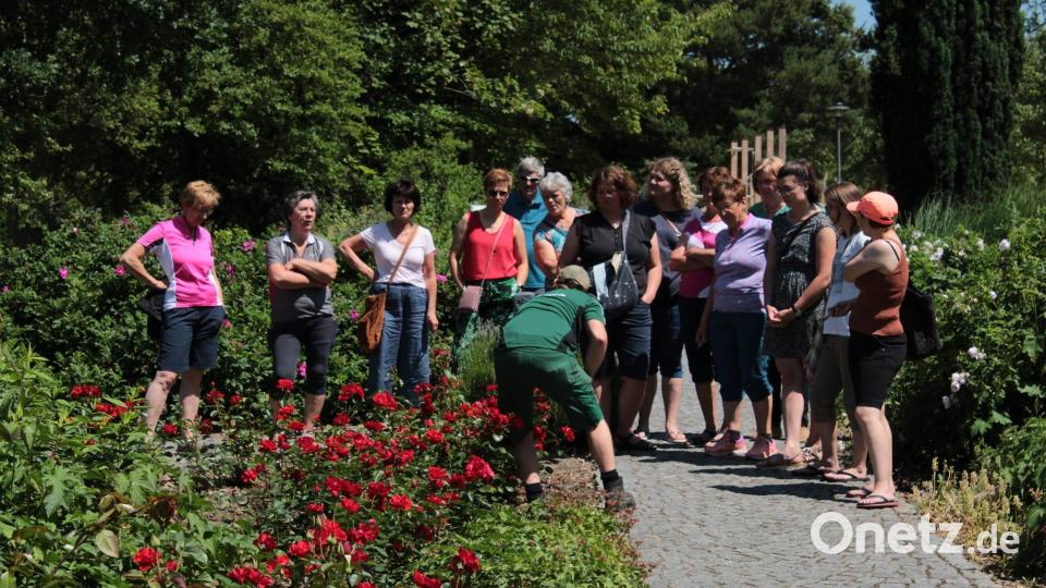Mitglieder des Obst- und Gartenbauvereins Liebenstein besuchten den Kurpark im Sibyllenbad bei Bad Neualbenreuth. Bild: Kurmittelhaus Sibyllenbad/exb