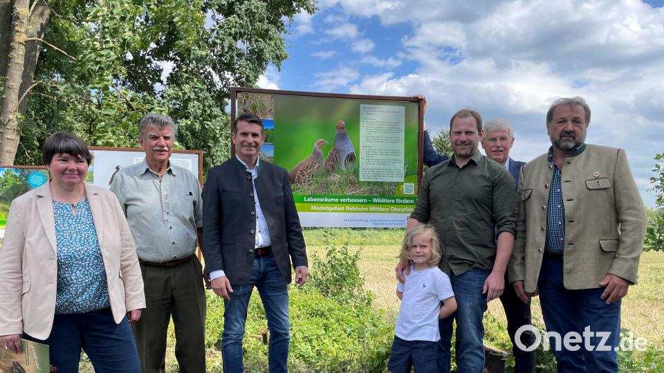 Behördenleiter Georg Mayer und Wildlebensraumberater Balduin Schönberger eröffneten gemeinsam mit Eric Beißwenger, stellvertretendem Landrat Jakob Scharf, Landwirt Marco Mulzer und Dr. Sabine Heinz von der LfL das Modellprojekt an der Hinweistafel am Mühlbach. Bild: Hofbauer/AELF/exb