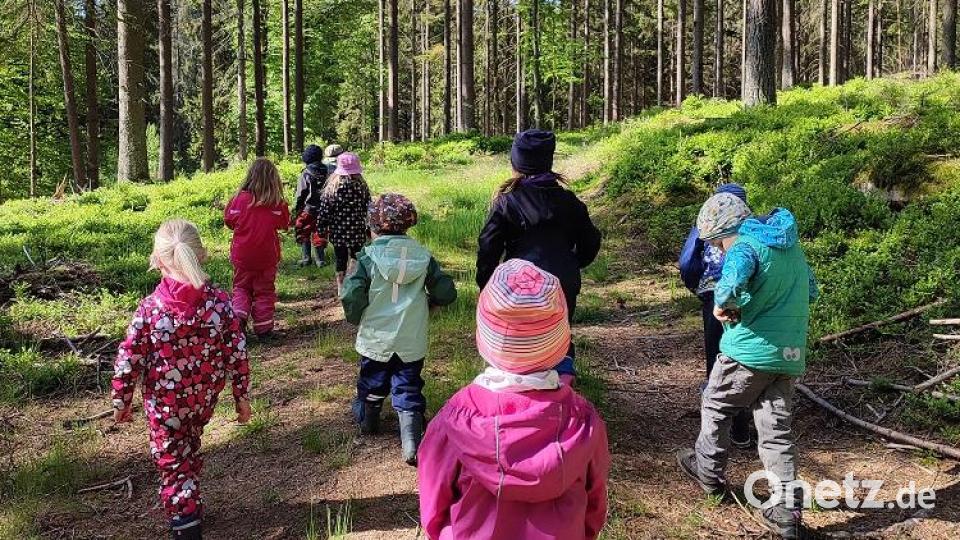 Die Mädchen und Jungen des Kinderhauses „Unsere kleine Welt“ Bärnau hatten viel Freude bei den Walderlebniswochen rund um Naab. Bild: Kinderhaus Bärnau/exb