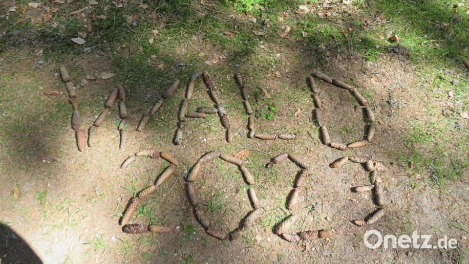 Die Mädchen und Jungen des Kinderhauses „Unsere kleine Welt“ Bärnau hatten viel Freude bei den Walderlebniswochen rund um Naab. Bild: Kinderhaus Bärnau/exb