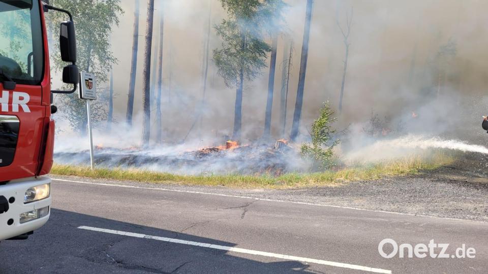An der Straße zwischen Seedorf und Münchenreuth brannte ein großes Waldstück. Bild: Feuerwehr Schirnding