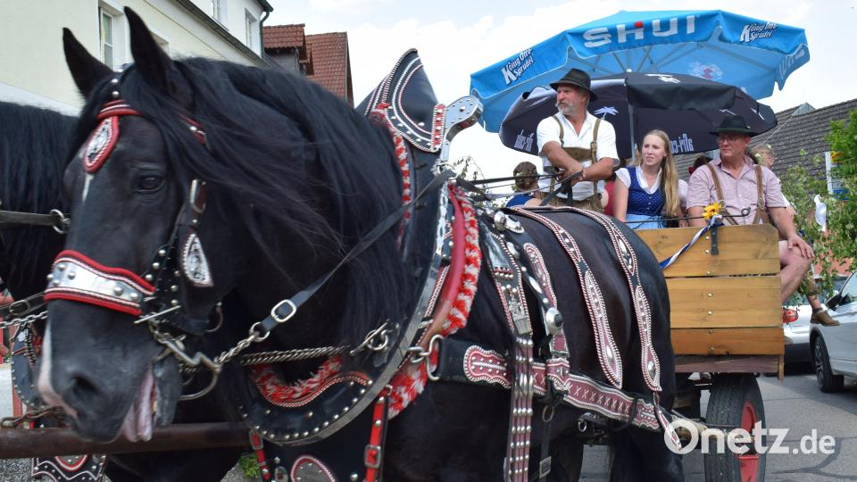 Stefan Hofmann, Ehringsfeld, brachte mit seinem schmucken Vierspänner
die Kirwaleute zum Dorfplatz. Bild: oe