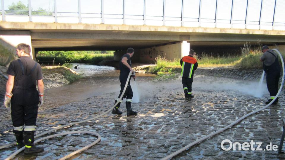 Unterstützung für das Wasserwirtschaftsamt Weiden: Die Feuerwehr Lohma im Einsatz am Pegel &quot;Lohma&quot; am Zottbach, um diesen zu reinigen. Bild: WWA Weiden/Josef Schwab/exb