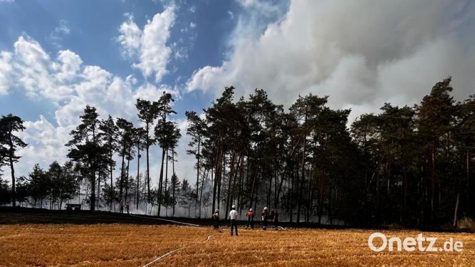 In der Nähe der Ortschaft Öd bei Nittenau brannten am Dienstagnachmittag rund zehn Hektar Wald und Feld. Bild: Kreisbrandinspektion Landkreis Schwandorf/exb
