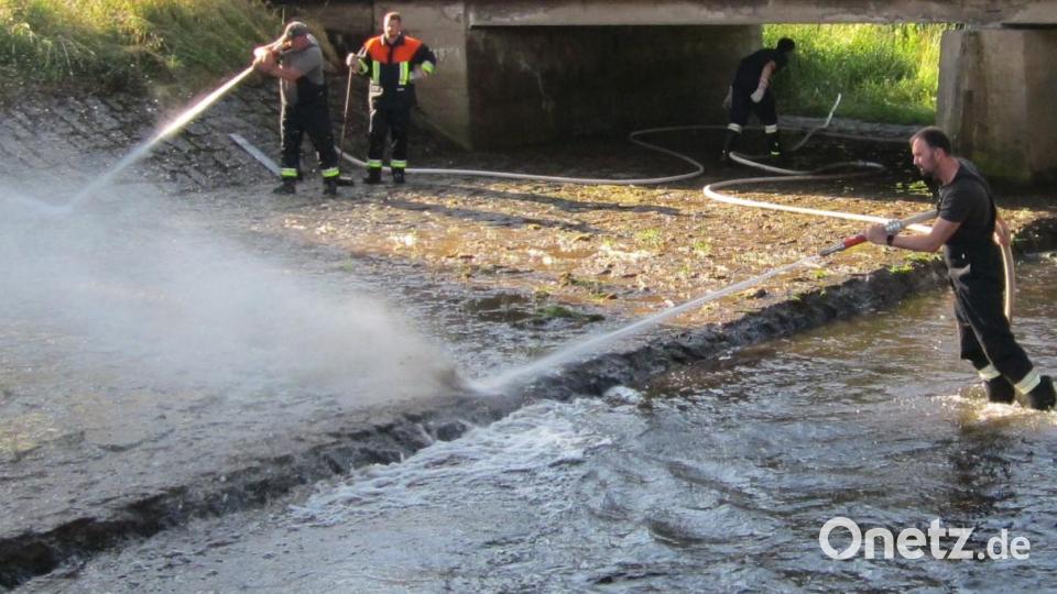 Unterstützung für das Wasserwirtschaftsamt Weiden: Die Feuerwehr Lohma im Einsatz am Pegel &quot;Lohma&quot; am Zottbach, um diesen zu reinigen. Bild: WWA Weiden/Josef Schwab/exb