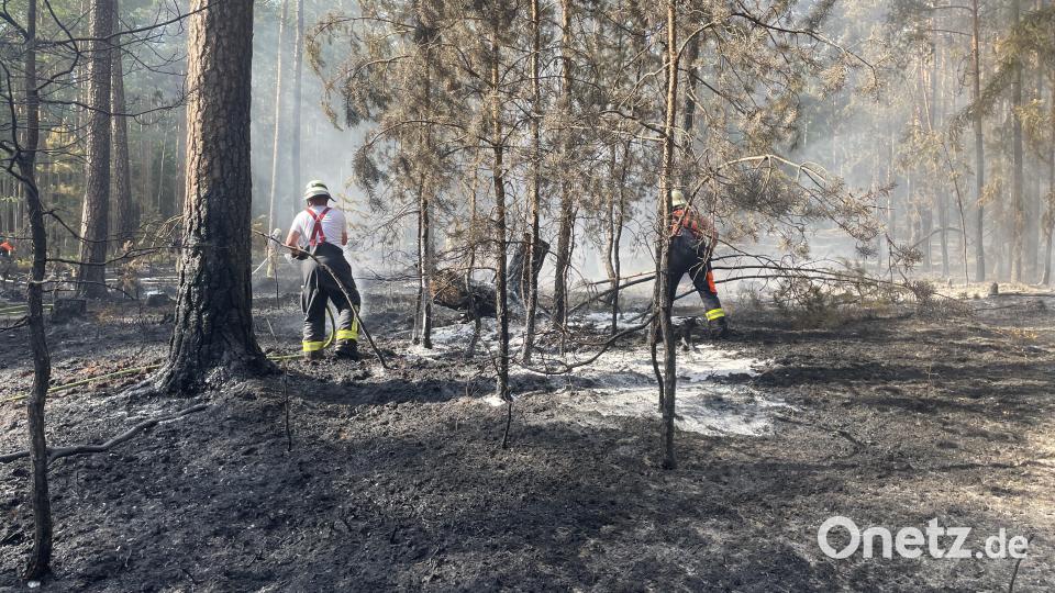Das Feuer konnte gelöscht werden. Bild: Kreisbrandinspektion Amberg-Sulzbach