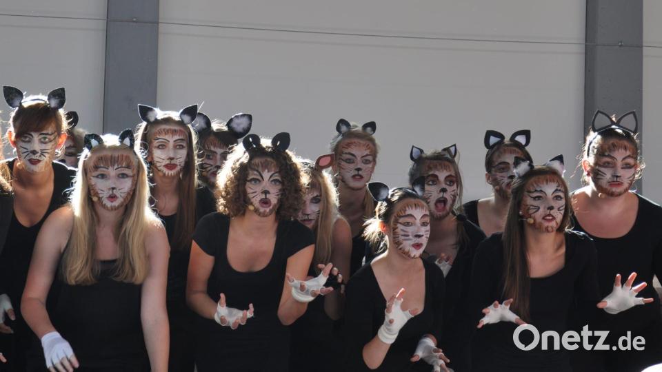 Der Broadway lässt grüßen. Die "Voices" zeigen Krallen bei einer "Cats"-Choreografie, die sie 2015 einstudiert hatten. Bild: Bergler/exb