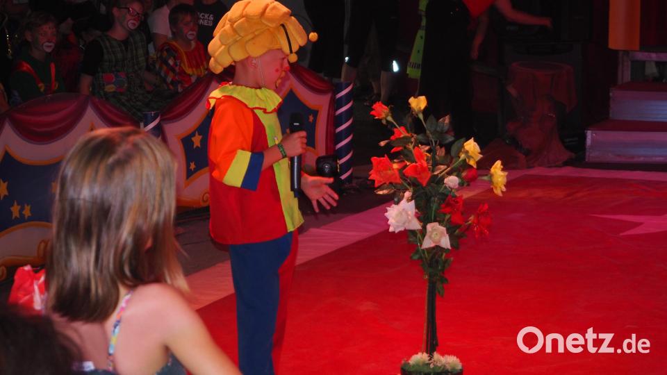 „Manege frei“ für die Grundschule Neustadt/WN Bild: krb