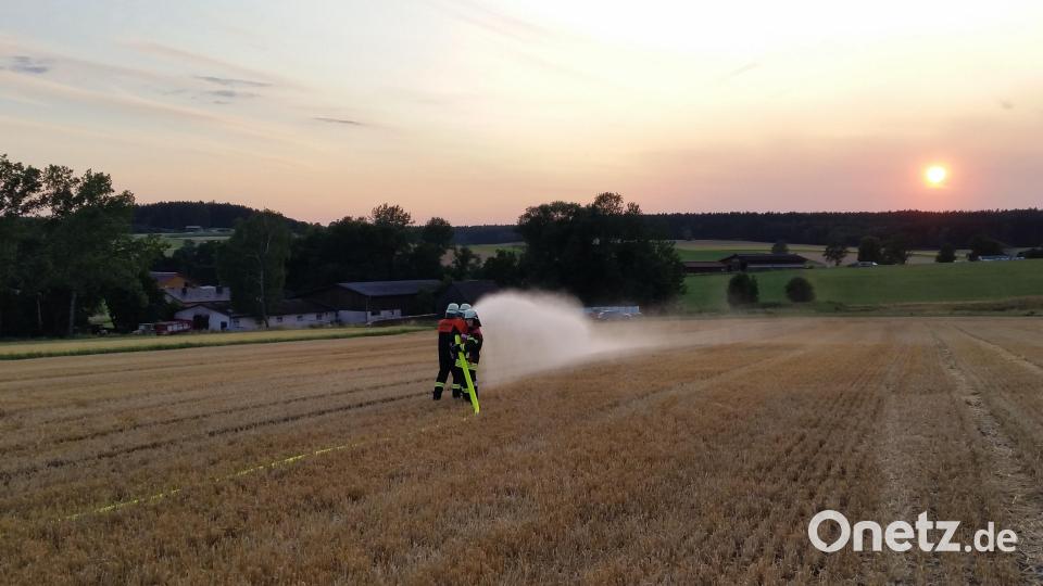 Im Schein der untergehenden Sonne bewältigen die Oberlinder Feuerwehrleute eine Feldbrandübung. Fast ein idyllischer Moment, wäre nicht die Brandgefahr im Blick. Bild: dob