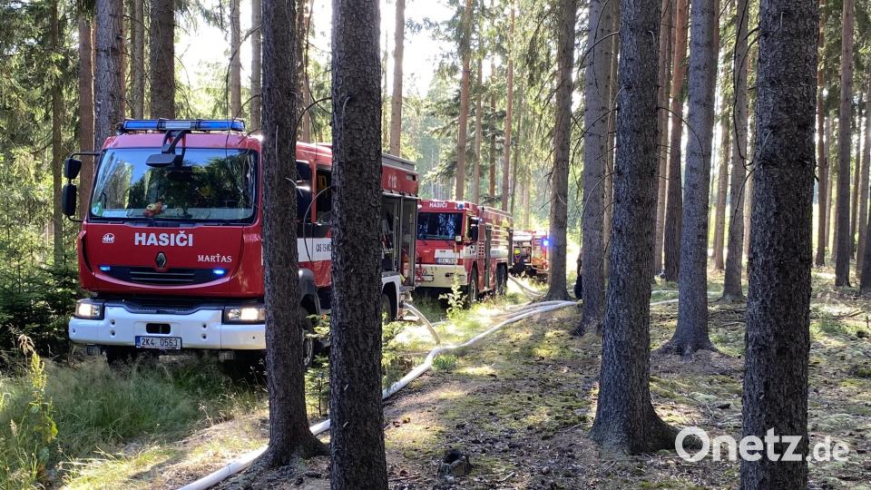 Im Waldstück zwischen Grenzübergang und Asia-Markt geriet am Donnerstagnachmittag ein Waldstück in Brand. Einsatzkräfte der Feuerwehr Waldsassen rückten zur Unterstützung bei der Bekämpfung der Flammen mit aus. Bild: Feuerwehr Waldsassen/exb