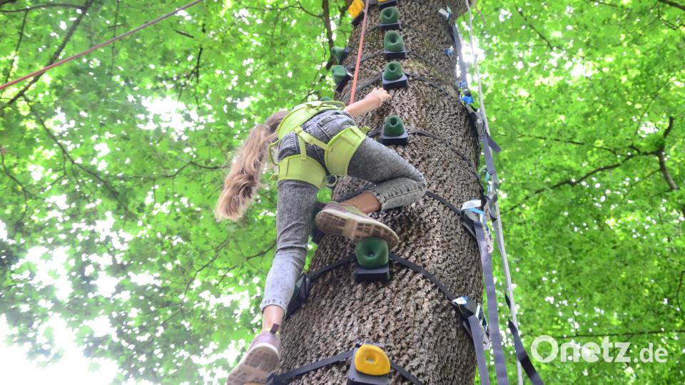 Hoch hinaus ging es in den Bäumen des Max-Reger-Parks. Bild: Kunz
