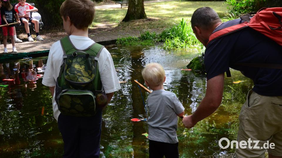 Angeln im Teich des Max-Reger-Parks. Bild: Kunz