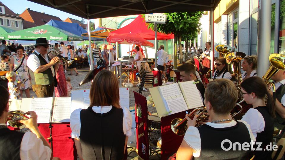 Die &quot;Naabtaler Musikanten&quot; spielen beim Bürgerfest in Wernberg-Köblitz zünftig auf. Bild: bnr