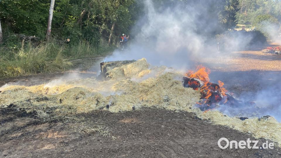 Bei einem Brand nahe Mittelreinbach sind rund 20.000 Quadratmeter Feld den Flammen zum Opfer gefallen. Bild: Kreisbrandinspektion Amberg-Sulzbach