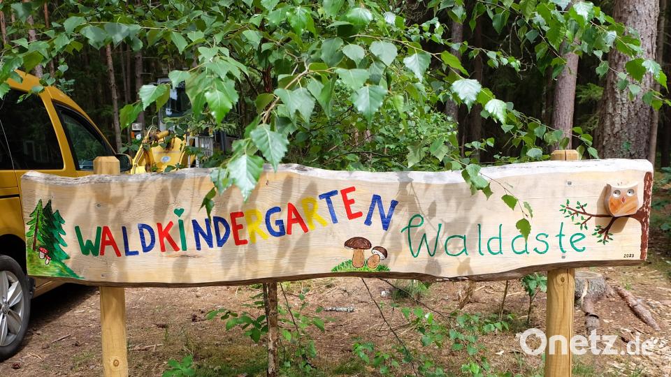 Den Namen durften sich die Kleinen selber geben und so entstand der Waldkindergarten &quot;Waldäste&quot; Bild: wlr