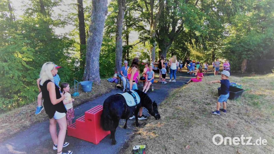 Begehrt bei den Kindern war vor allem das geführte Ponyreiten der Familie Hantzsch. Bild: gz