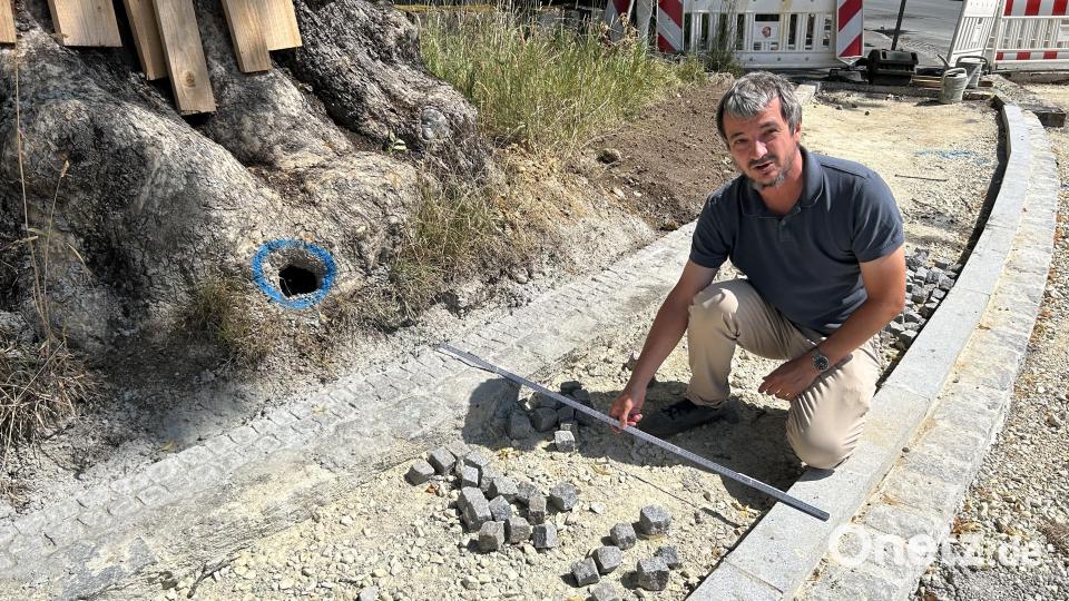 Auch der große Baum in der Kurve der Bahnhofstraße gegenüber der Einfahrt zur Heinrich-Böll-Straße bleibt stehen. Planer Martin Dunst zeigt den dortigen Gehweg, der wie früher in einer Breite von 1,25 Meter daran vorbeiführt. Umgesetzt werden die Vorgaben von der Baufirma Englhard aus Amberg. Bild: Andreas Royer