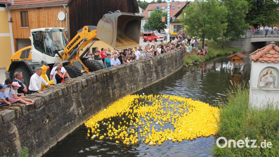 2000 mit Losnummern versehene Enten werden mit dem Lader in die Murach gekippt und liefern sich ein beherztes Rennen. Bild: frd