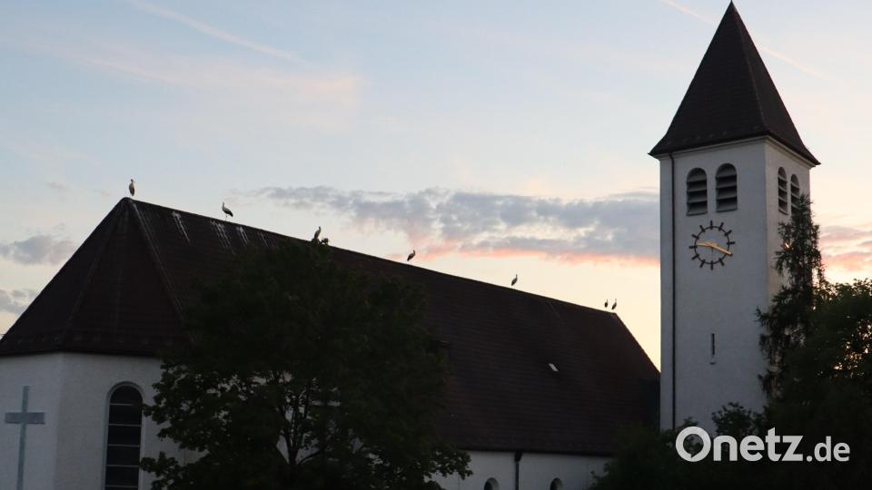 Leser Hans Amann beobachtet seit einigen Tagen in den Abendstunden auf der Kirche St. Konrad in Weiden eine ansehnliche Storchenparade. Sieben Stück hat Herr Amann gezählt und im Bild festgehalten. Bild: Hans Amann/exb