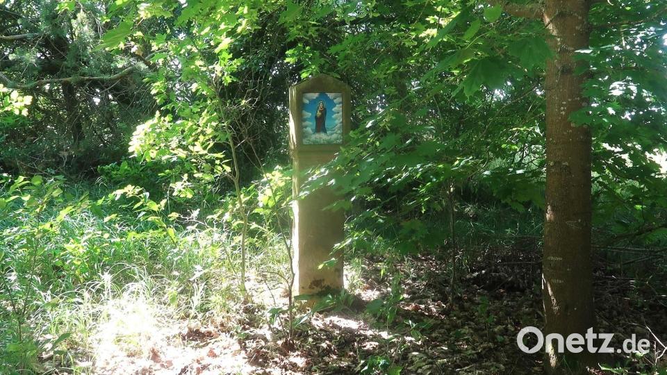 Ganz versteckt steht das restaurierte Wosa-Marterl in einem Gebüsch bei Ebersbach. Bild: rha
