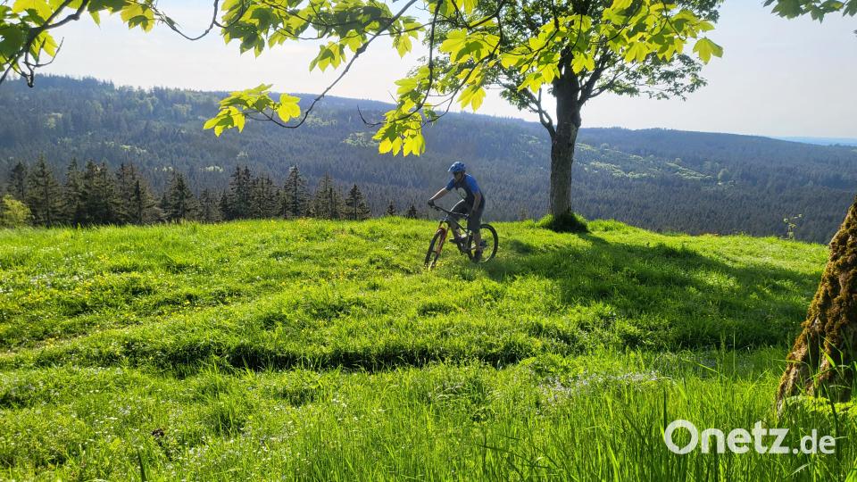 Saftiges Grün, dichte Wälder. Bild: Jana Herold