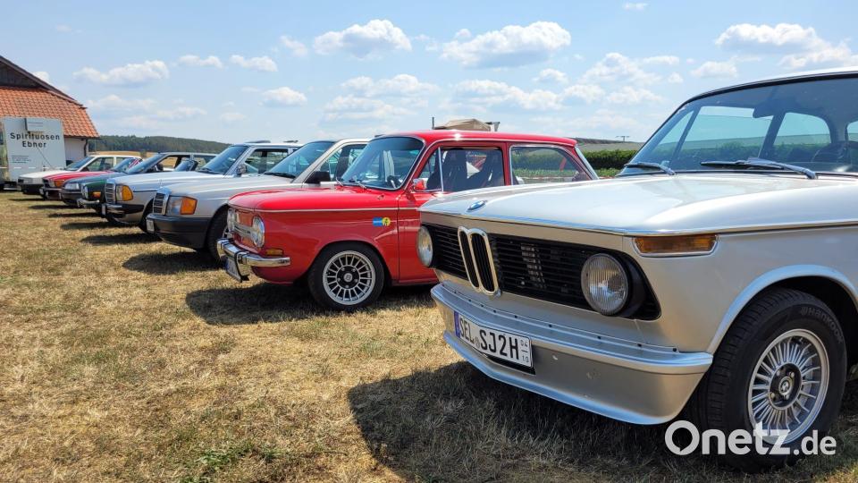 In Reih und Glied werden zahlreiche Oldtimer präsentiert. Bild: P. Schießl/exb
