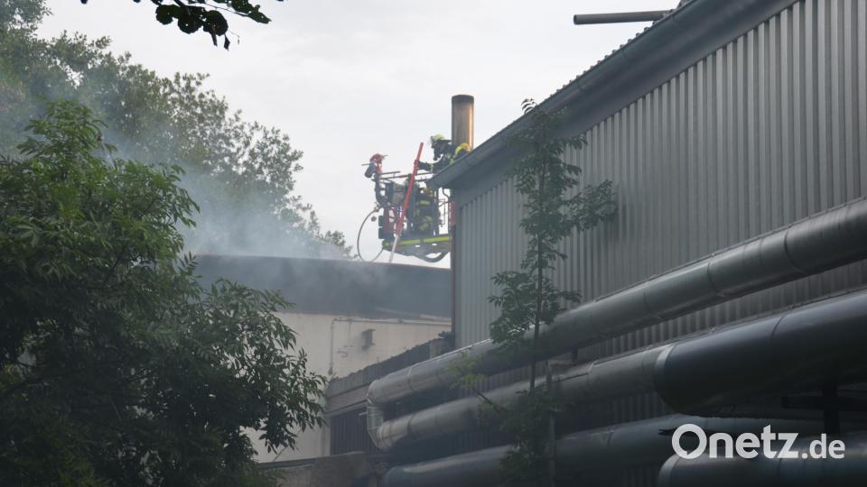Die Vohenstraußer Stützpunktwehr rückte mit der Drehleiter an, die bei derartigen Einsätzen sehr gute Dienste leistet. Bild: dob