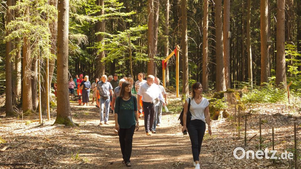 In rund 40 Minuten lässt sich der Walderlebnispfad erkunden, samt der Schautafeln und Fitnessgeräte. Bild: esb