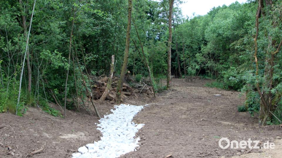 Unter der B470 geht der Kanal direkt zur Kläranlage. Am Schacht (hinten Mitte Bild) wurde der neue Kanal angeschlossen. Das Biotop, hinter dem Erdwall am Bauhof wurde erhalten. Bild: lep