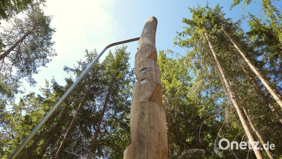 Und einen Kletterbaum. Bild: esb