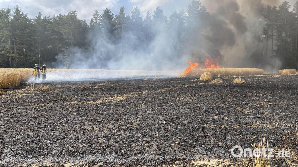 Das abgebrannte Feld bei Haag. Bild: Kreisbrandinspektion Amberg-Sulzbach