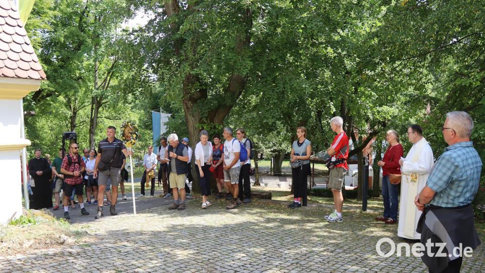 Die Stationen des Kreuzwegs leiteten die Auerbacher Pilger den Annaberg hinauf. Bereits 18 Mal hat Lothar Schätzlein das Annabild von Auerbach nach Sulzbach-Rosenberg getragen. Er hat diese Funktion von seinem Vater übernommen. Bild: mfh