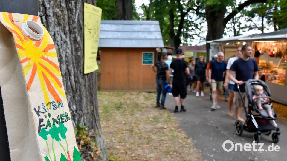 Mit "Kippenfängern" aus leeren Tetrapaks versuchte der Verein "Tat:Ort" erstmals einen Beitrag zur Sauberkeit am Annaberg zu leisten. Bild: Petra Hartl